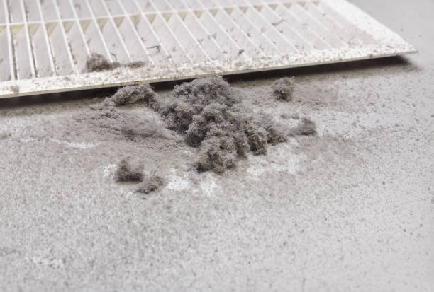 Best Affordable Air Duct Cleaning  in Noblesville, IN